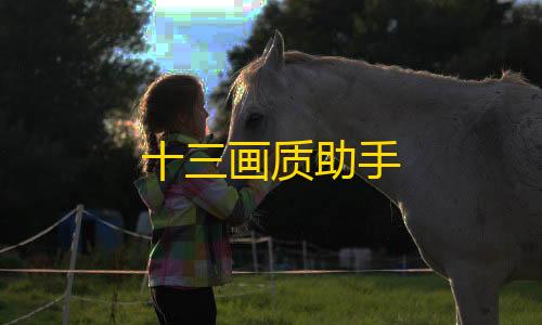 暗区突围稳定透视卡盟十三画质助手